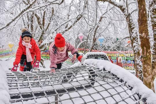 峨眉山市最新信息概覽，市情動態(tài)更新