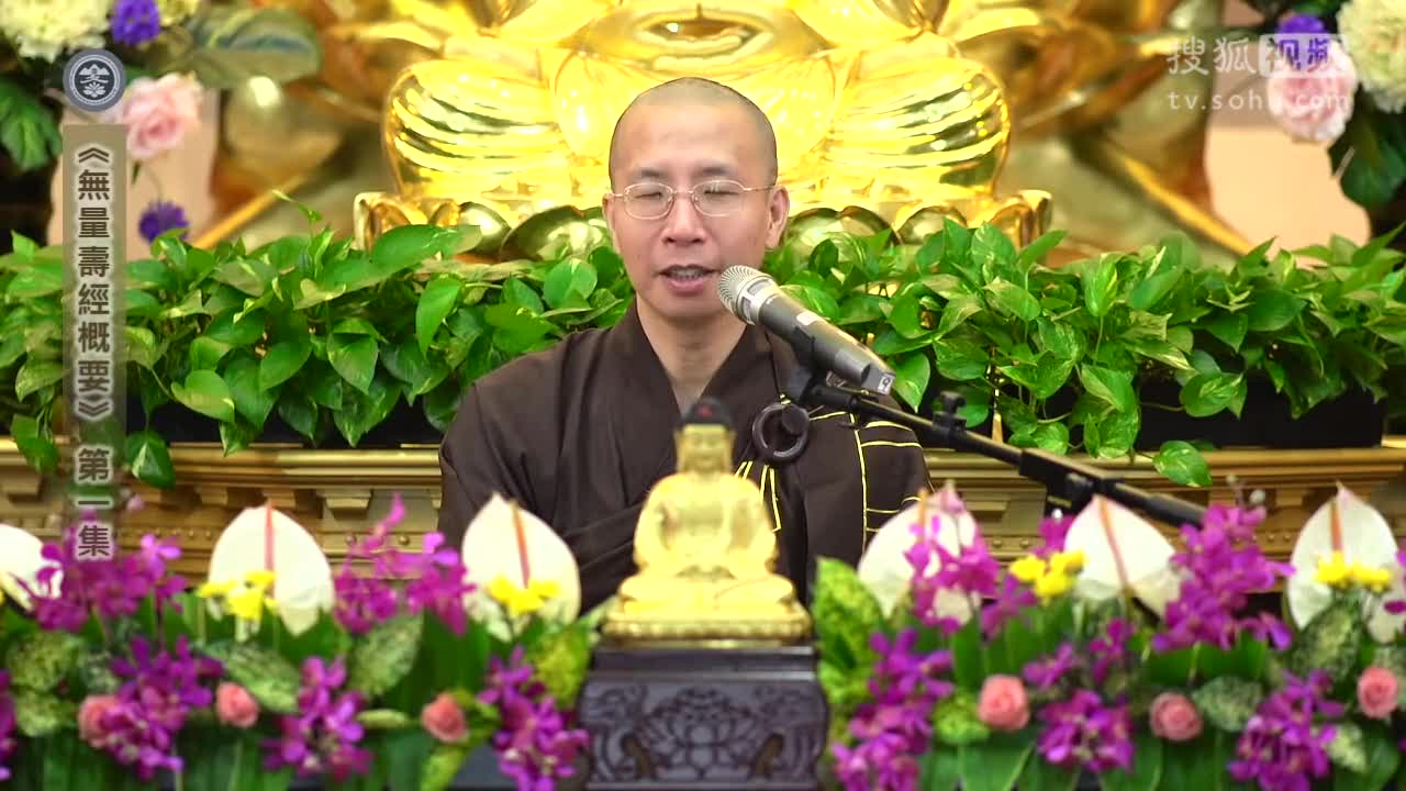 定弘法師最新視頻，深度解讀佛法與人生智慧啟迪心靈之路