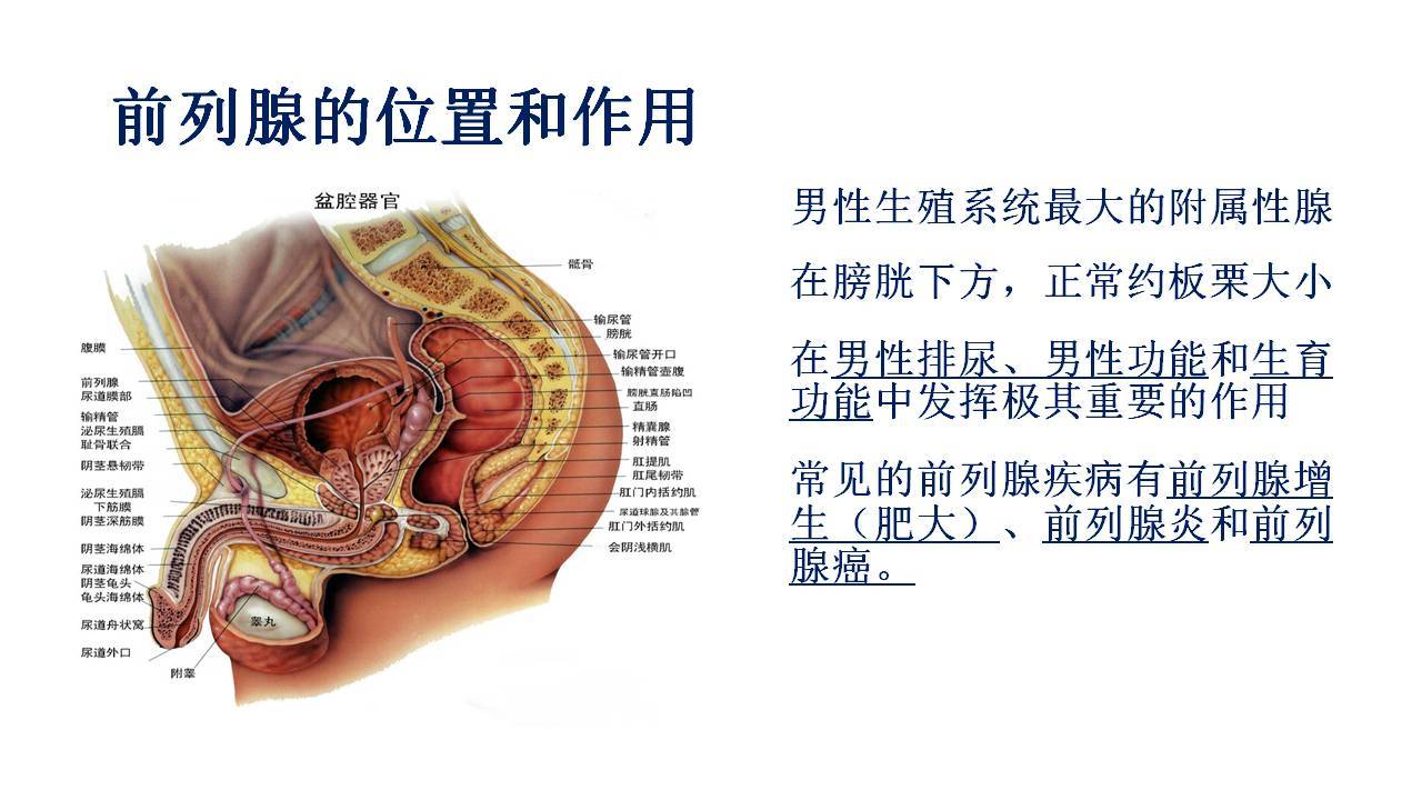 前列腺最新治療方法探索，前沿技術(shù)與治療希望