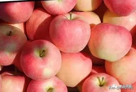 山西蘋果最新價(jià)格及動(dòng)態(tài)分析