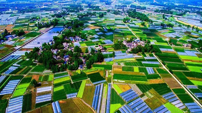 新津縣住房和城鄉(xiāng)建設局最新發(fā)展規(guī)劃揭秘，未來城市建設的藍圖與展望