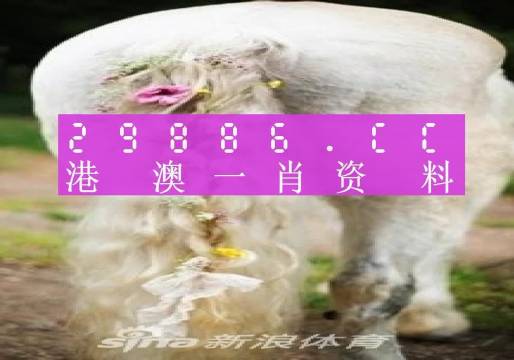 今晚一肖一碼澳門一肖四不像,綜合性計(jì)劃定義評估_戶外版85.568