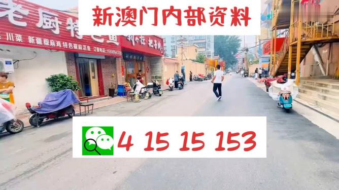 2024新澳門天天開好彩,實地考察數(shù)據(jù)應(yīng)用_zShop47.344