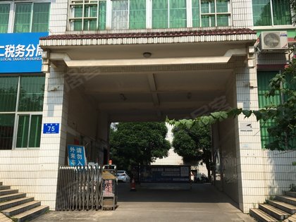 南寧市地方稅務(wù)局最新動態(tài)報(bào)道
