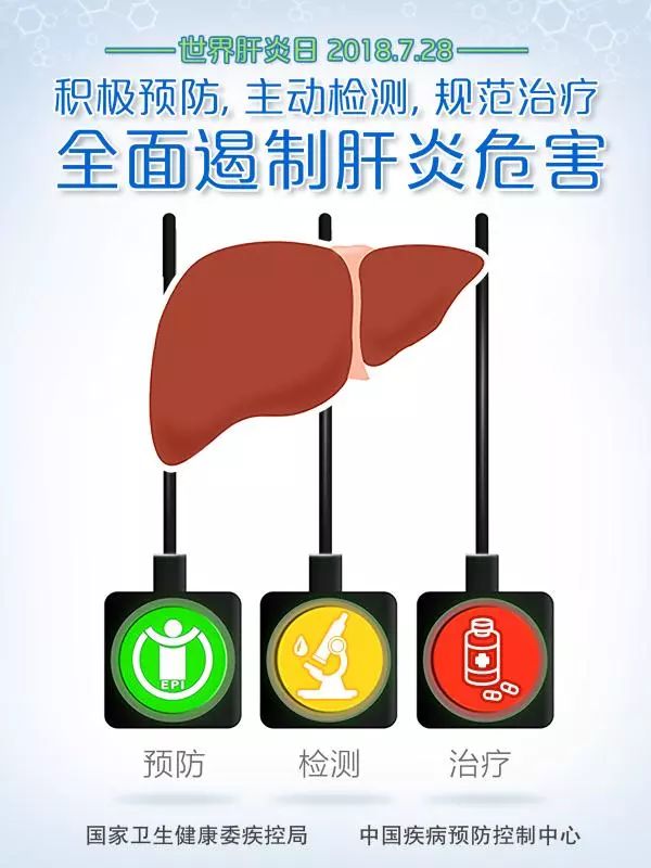 乙肝研究前沿洞察，2017最新進(jìn)展與應(yīng)用探索
