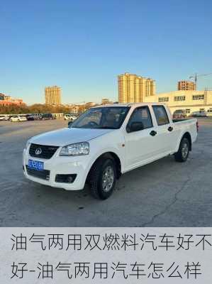 最新雙燃料車發(fā)展態(tài)勢(shì)與優(yōu)勢(shì)解析