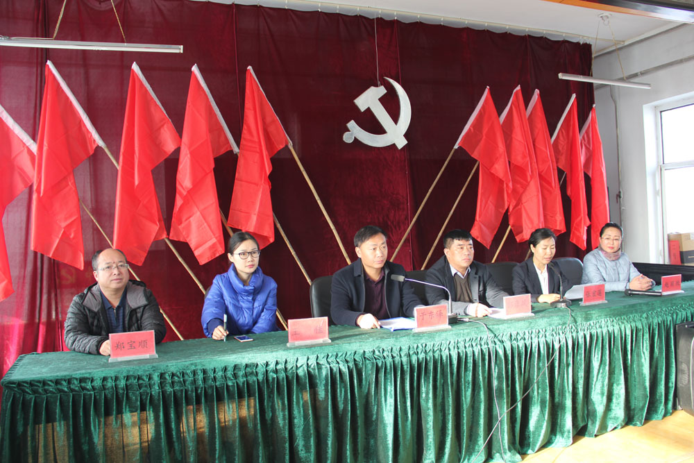 寶甸鄉(xiāng)，鄉(xiāng)村振興戰(zhàn)略下的新篇章最新新聞報(bào)道