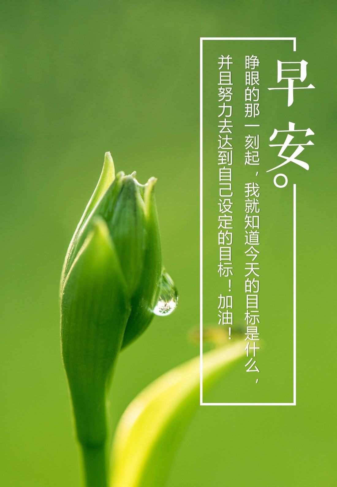 迎接美好2017，最新早安心語分享