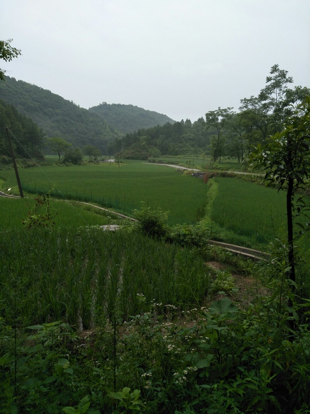 佘家坪鄉(xiāng)最新天氣預(yù)報(bào)更新通知
