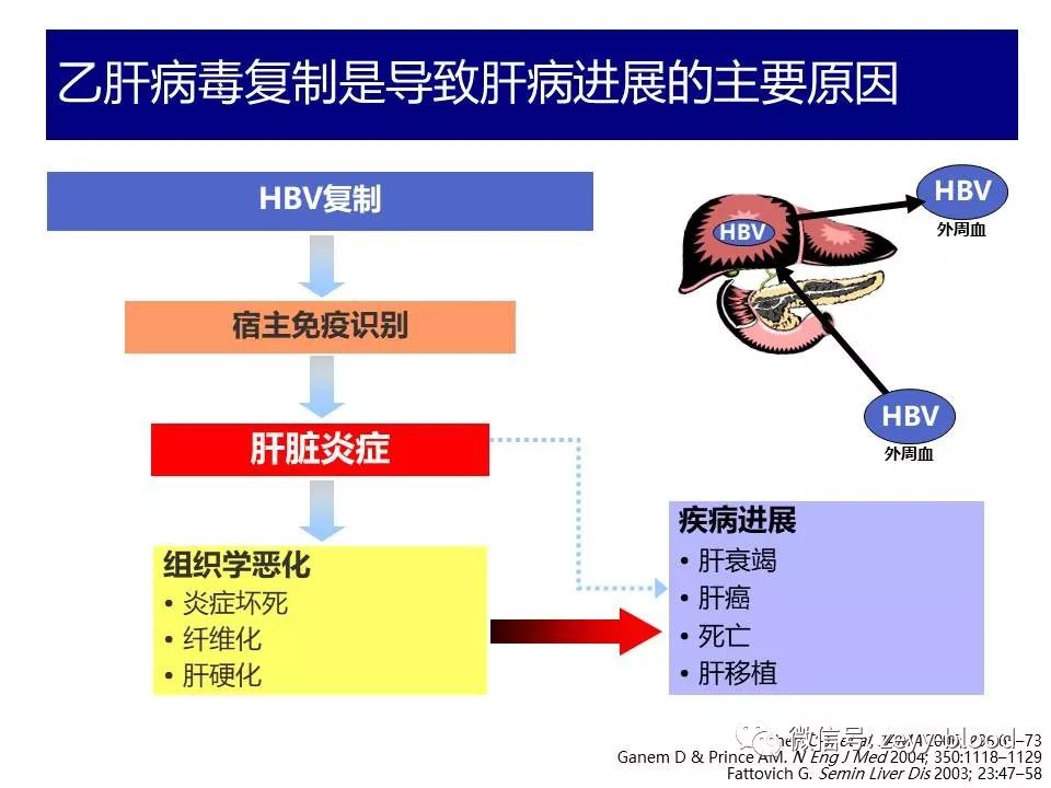 乙肝最新研究成果，突破與希望的曙光