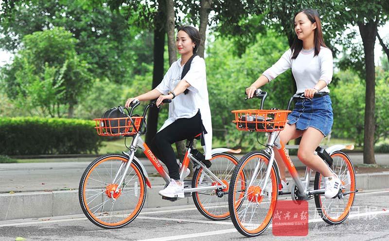 摩拜最新版本下載，探索新時代的騎行體驗新篇章