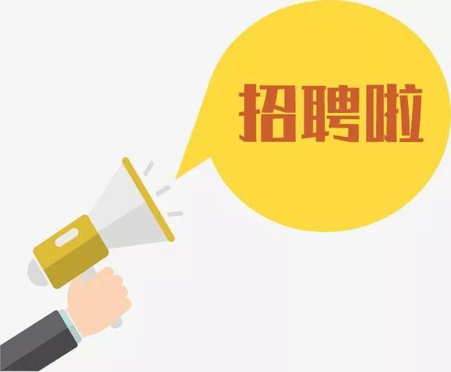 杭州下沙最新招聘動態(tài)及其地區(qū)影響分析