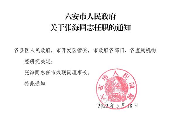 百豐村委會人事任命更新，推動村級治理邁向新臺階