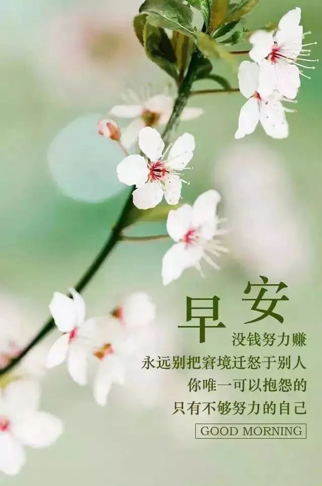 浸潤(rùn)生活的智慧與力量的最新經(jīng)典句子