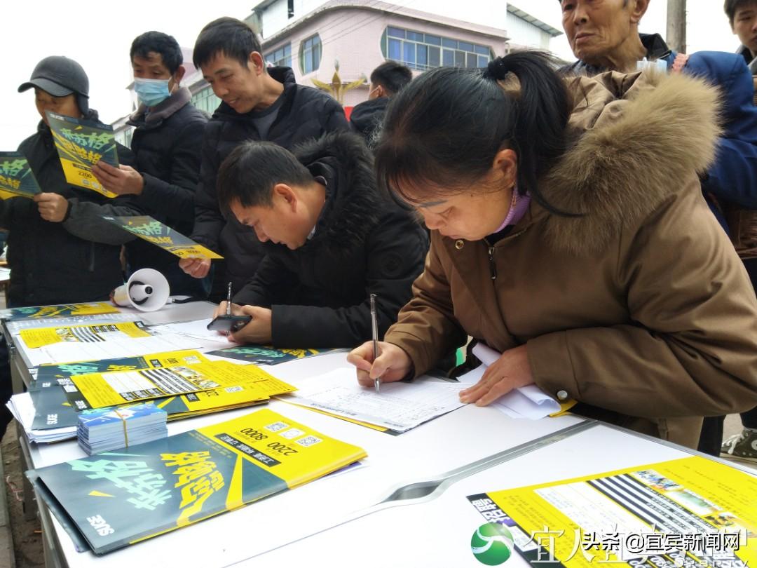 牟坪村民委員會最新招聘信息概覽，職位空缺與申請指南
