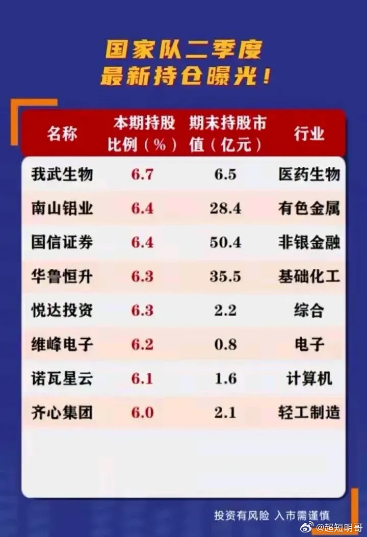 國家隊最新持倉,國家隊最新持倉，洞悉國家資本動向與策略調(diào)整