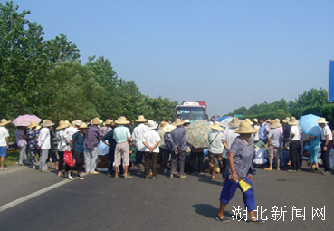 那梭農(nóng)場(chǎng)最新交通新聞更新，路況、進(jìn)展與動(dòng)態(tài)