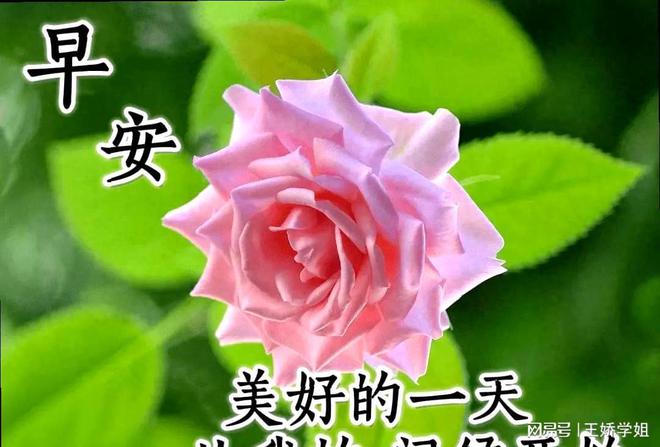 最新早上好表情圖片，喚醒美好一天的溫馨問(wèn)候