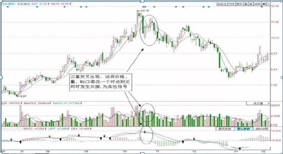彩虹股份最新動(dòng)態(tài)深度解析，今日消息一覽