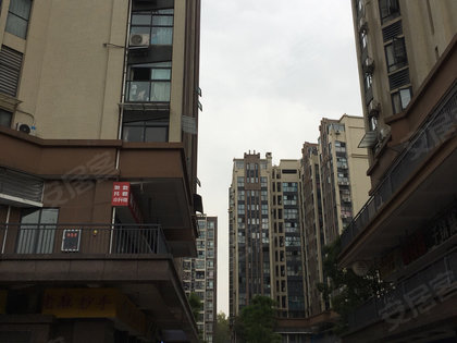 二重嘉苑最新動態(tài)解析，全方位解讀，洞悉未來動向